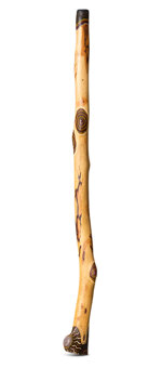 Heartland Didgeridoo (HD571)